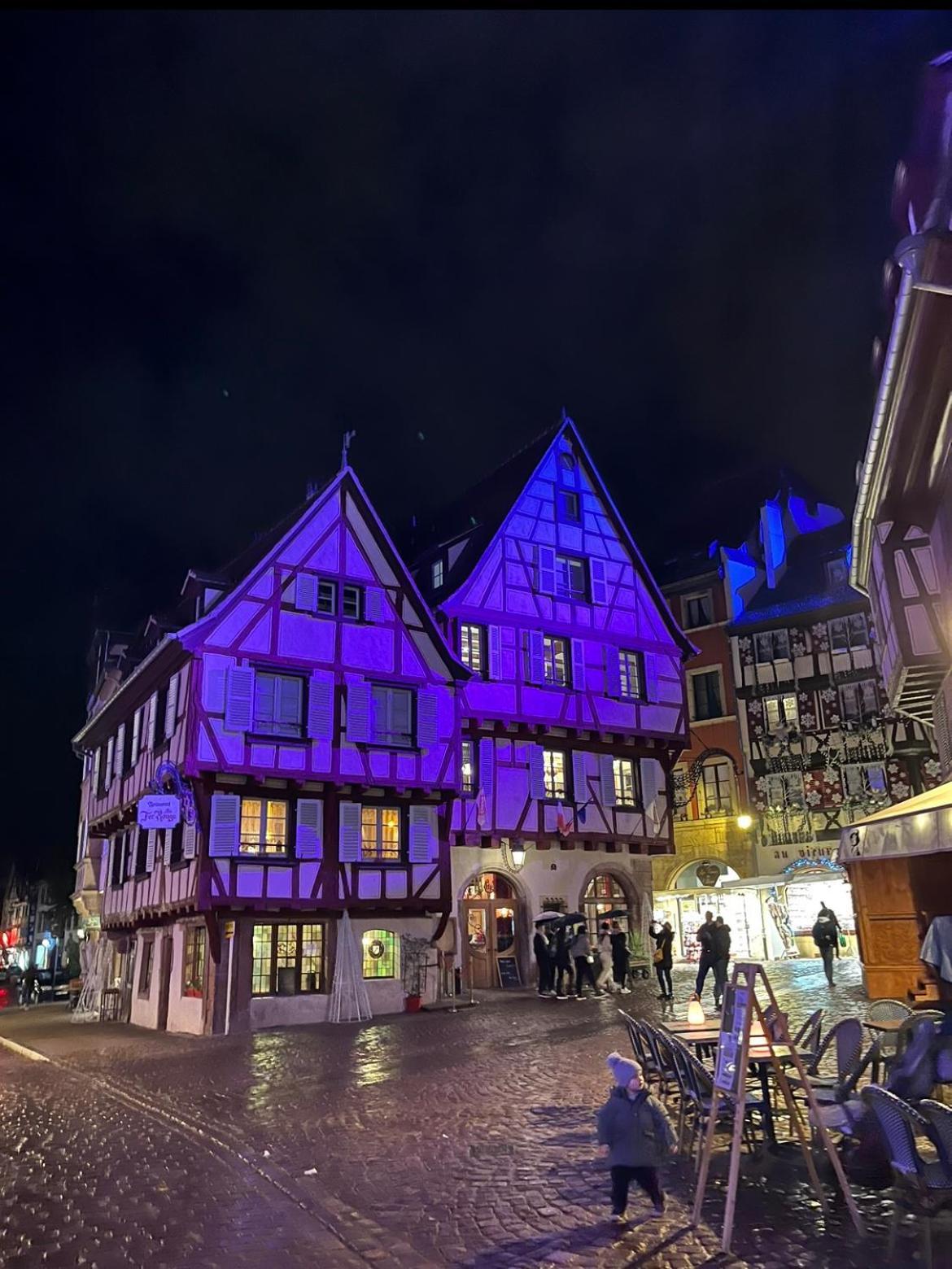 Le Venise, Parking Prive, Neuf & Spacieux Colmar Dış mekan fotoğraf